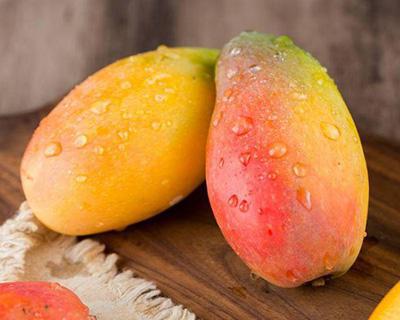 芒果加工生產線